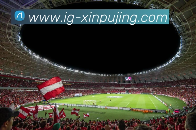 澳门新葡京娱乐APP 封面图